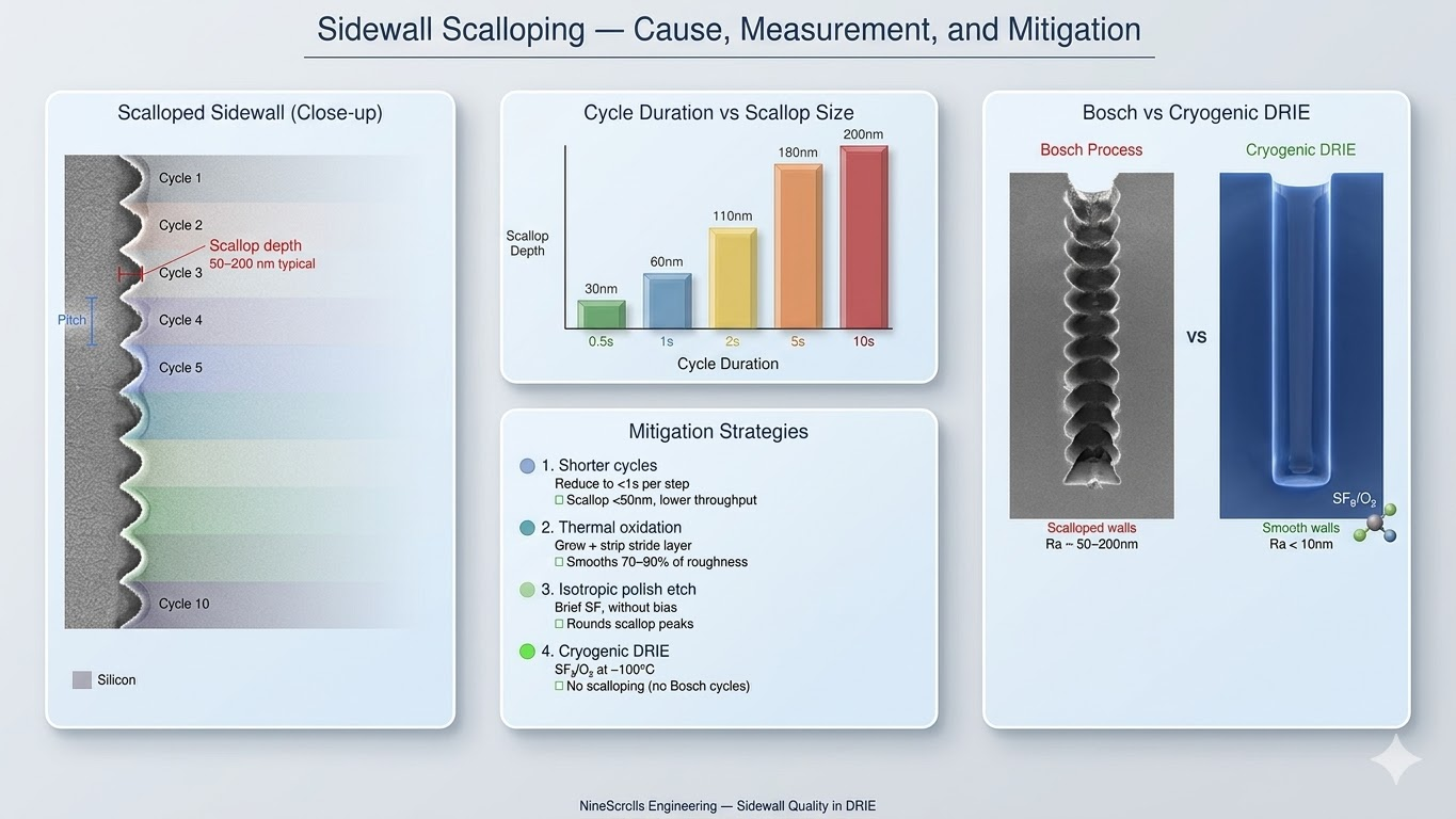 Sidewall scalloping diagram showing close-up of periodic waviness from Bosch process cycles, cycle duration vs scallop depth chart, mitigation strategies, and comparison of Bosch vs cryogenic DRIE sidewall quality