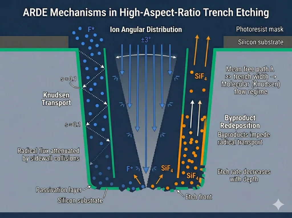 ARDE mechanisms in a high-aspect-ratio trench: Knudsen transport showing radical flux attenuated by sidewall collisions with sticking coefficient s≈0.1, ion angular distribution with ±3° acceptance cone limiting ions reaching trench bottom, and byproduct redeposition where SiF4 molecules impede radical transport